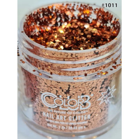 NAIL ART GLITTER COLOR CLUB #1011