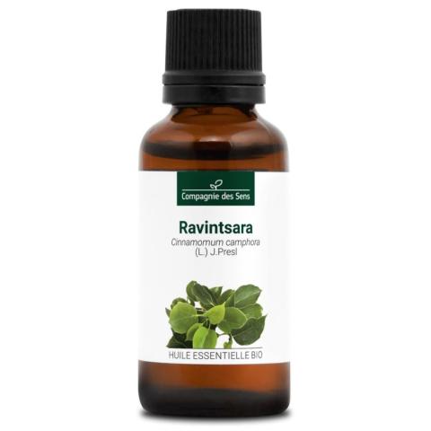 HUILE ESSENTIELLE BIO RAVINTSARA  30 ml