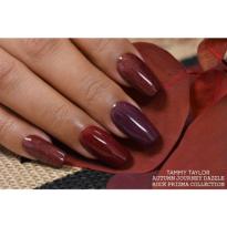 POUDRE ACRYLIQUE RÉSINE COULEUR AUTUMN JOURNEY COLLECTION TAMMY TAYLOR