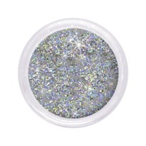 Dazzling Glitter Multi Silver 110 ABC NAILSTORE