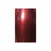 VERNIS A ONGLES BLACK-ISH / BRUN BORDEAUX AUX REFLETS DORES#813 COLOR CLUB