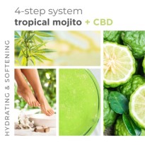 KIT 4 ÉTAPES MOJITO + CBD  BCL FORMAT CABINE