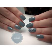 Gel UV Couleur #1071 ABC NAILSTORE artistgel grays story, wild bat