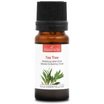 HUILE ESSENTIELLE BIO TEA TREE 10 ml